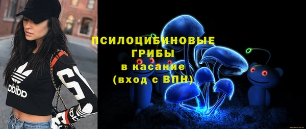 кристаллы Корсаков