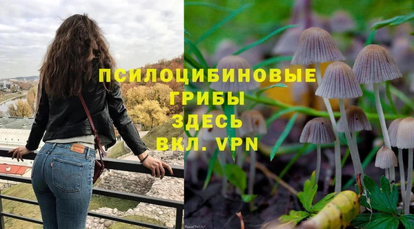кристаллы Корсаков