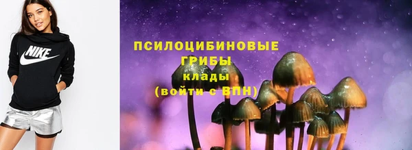 бошки Коряжма