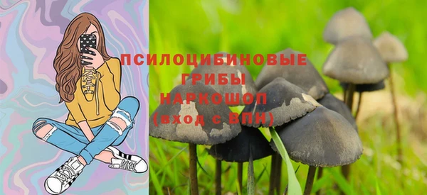 бошки Коряжма