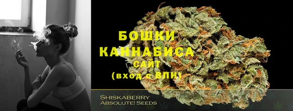мдпв Костерёво