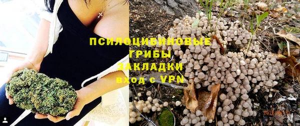 мдпв Костерёво